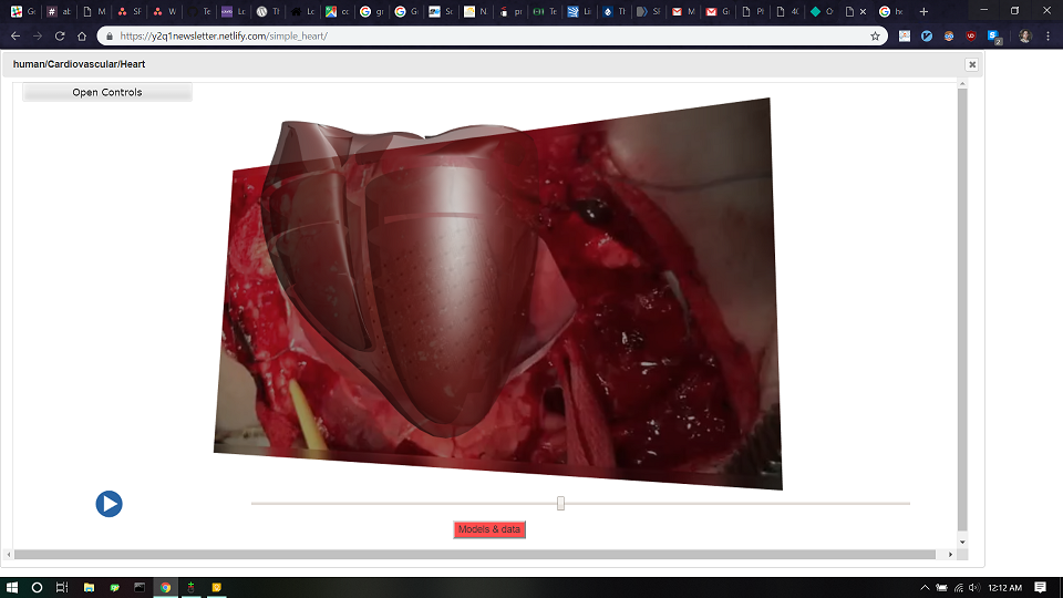 Loading Portal image